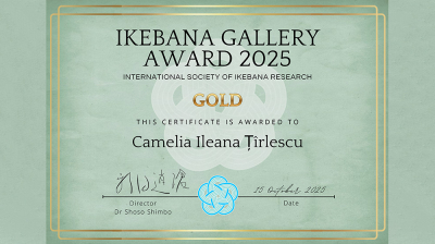 diploma 16x